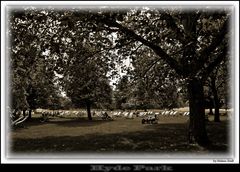 Hyde Park in London