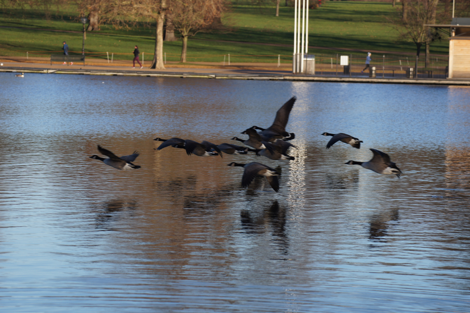 Hyde Park in the morning