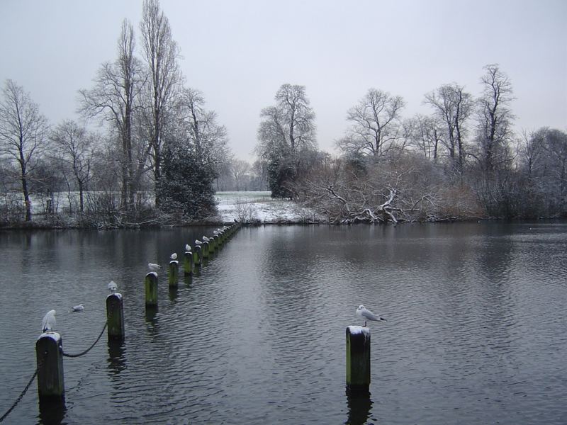 hyde park in white_2