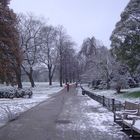 hyde park in white_5