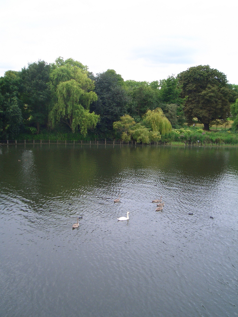 Hyde Park London