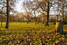 Hyde Park, Londres von ntali 