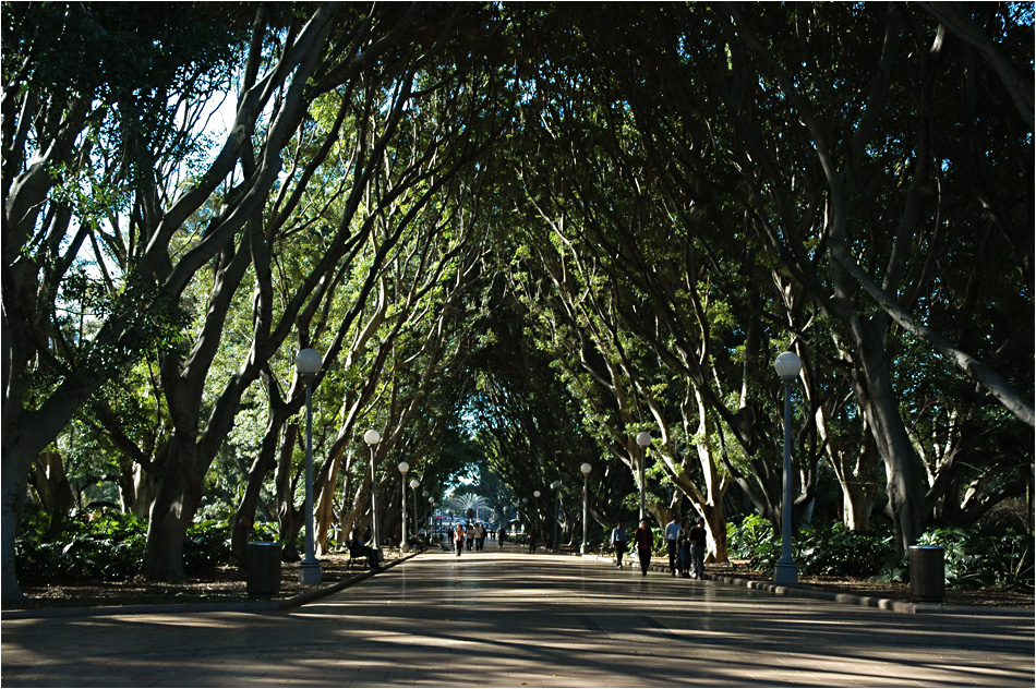 Hyde Park Sydney von Ann-Jasmin