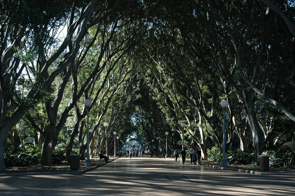 Hyde Park Sydney