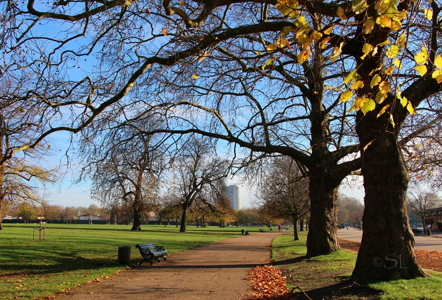 Hydepark Ende November