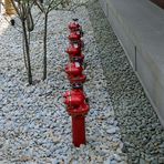 Hydrant -2-