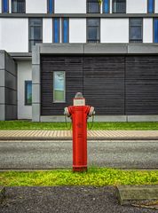 Hydrant 21
