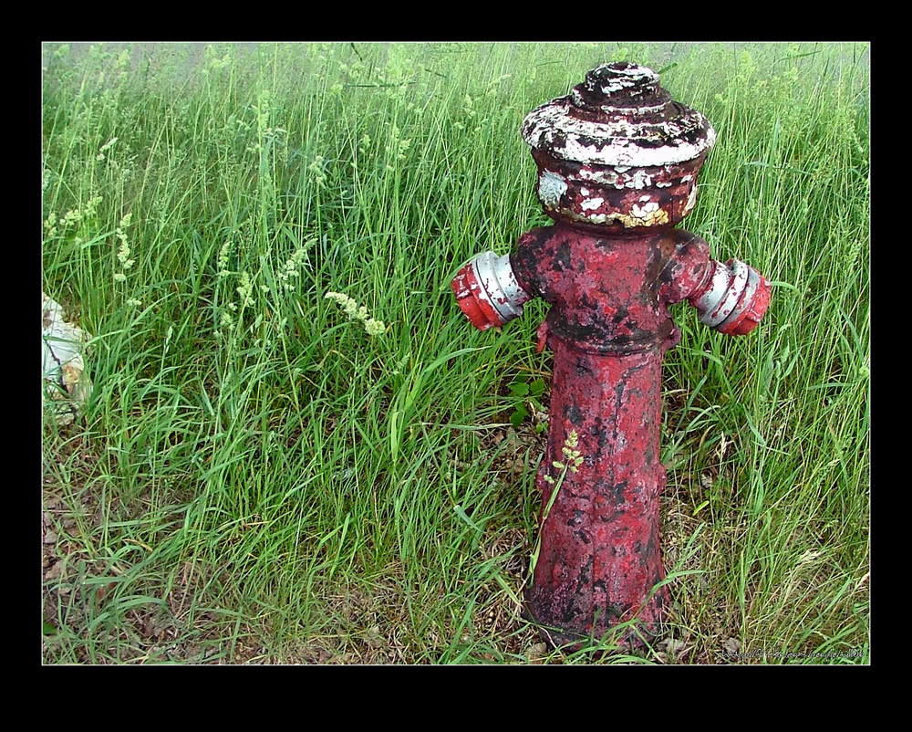 Hydrant