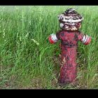 Hydrant