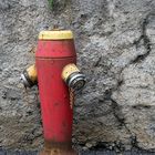 Hydrant 3