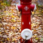 Hydrant