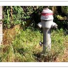 Hydrant 360 in Volketswill (CH)