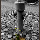 Hydrant