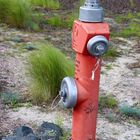 Hydrant