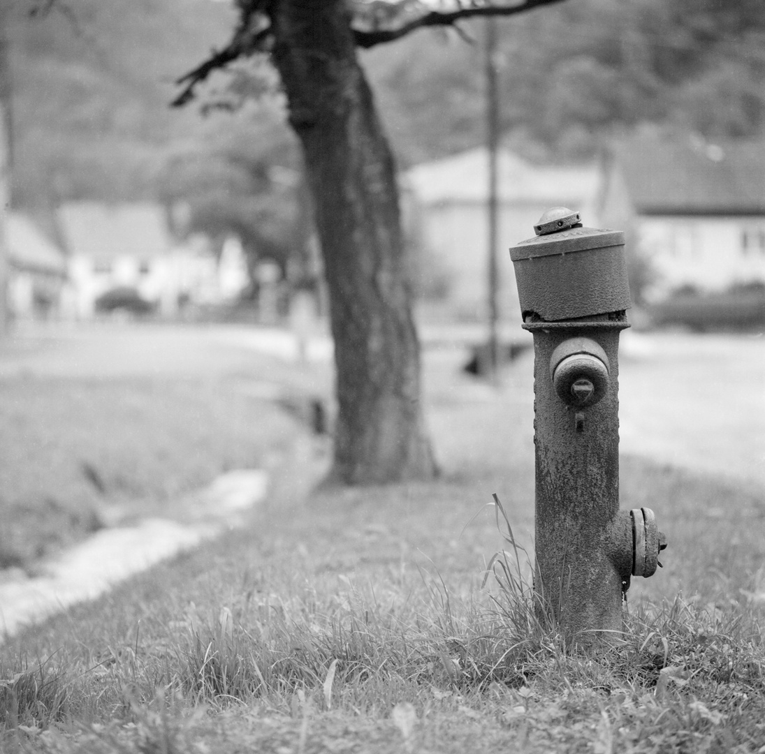 Hydrant.