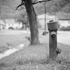 Hydrant.