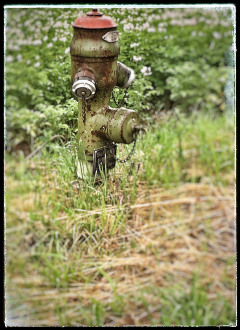 Hydrant