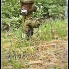 Hydrant