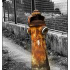 Hydrant