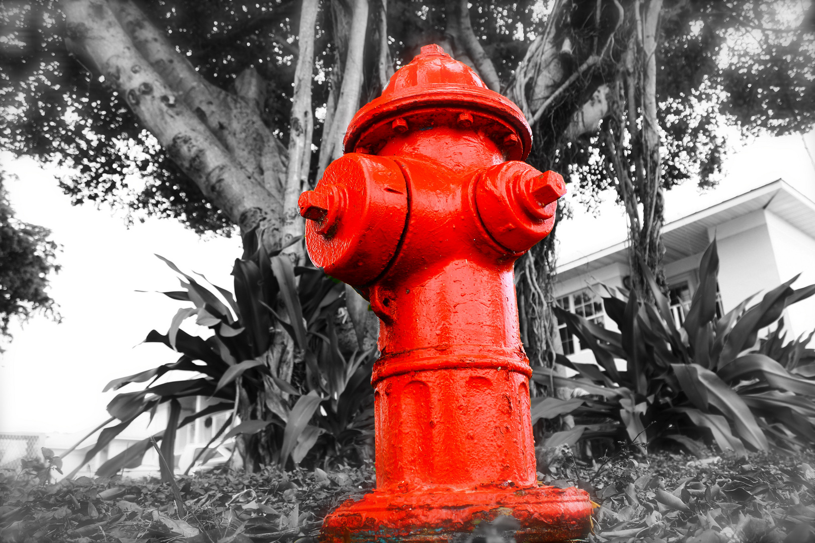 Hydrant