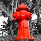 Hydrant