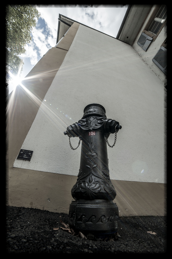 Hydrant am Weg