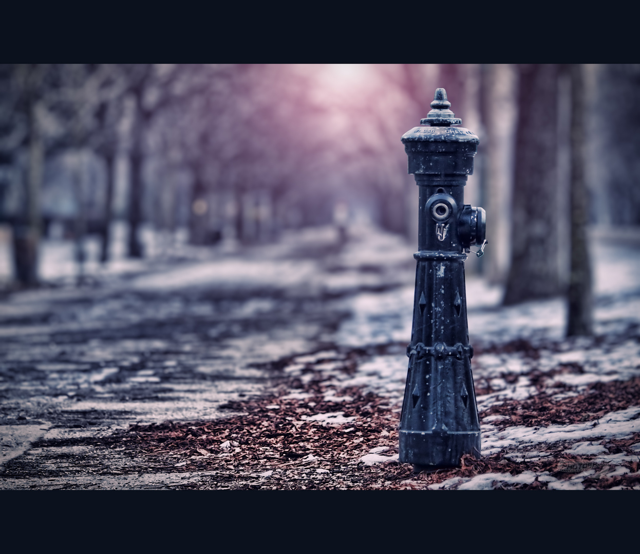 Hydrant an der Prater Hauptallee in Wien