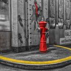 Hydrant and the yellow line