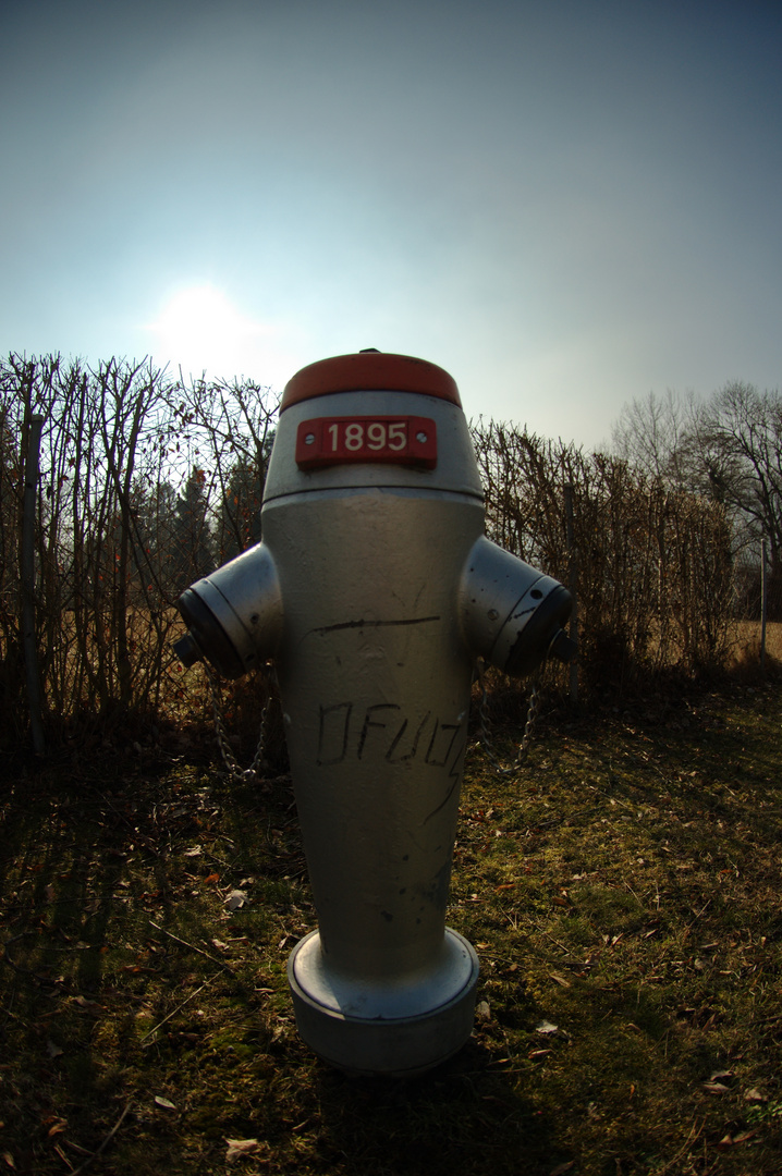 Hydrant Bielersee