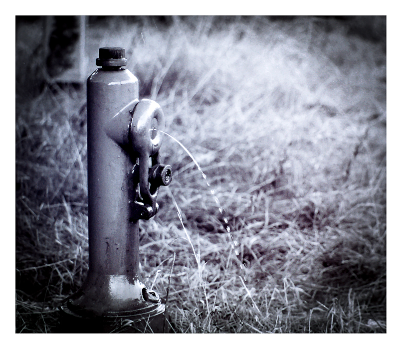 Hydrant