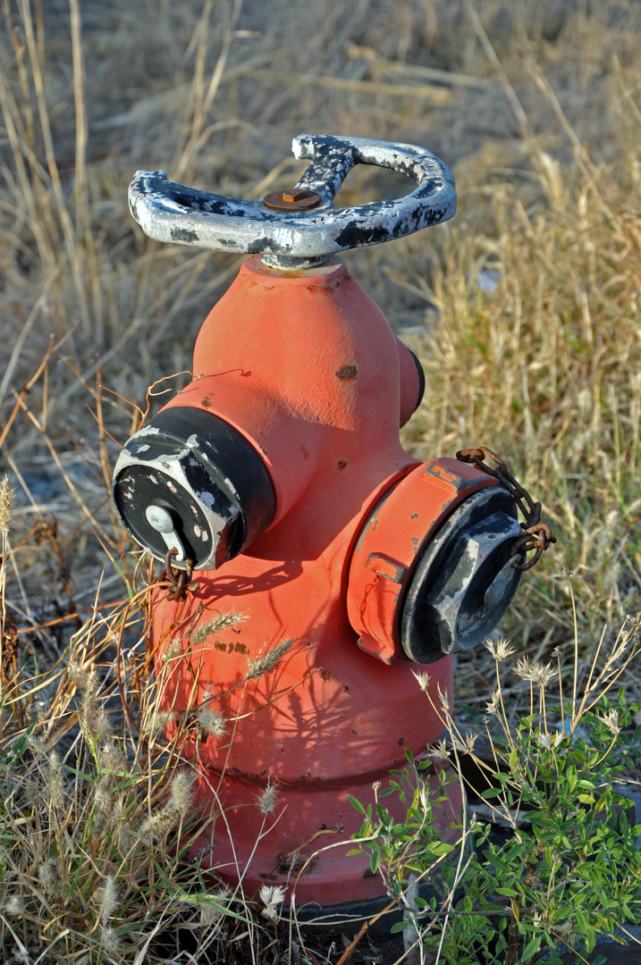 Hydrant