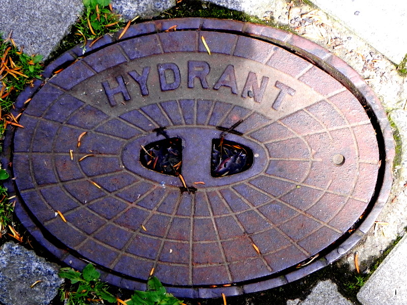 Hydrant