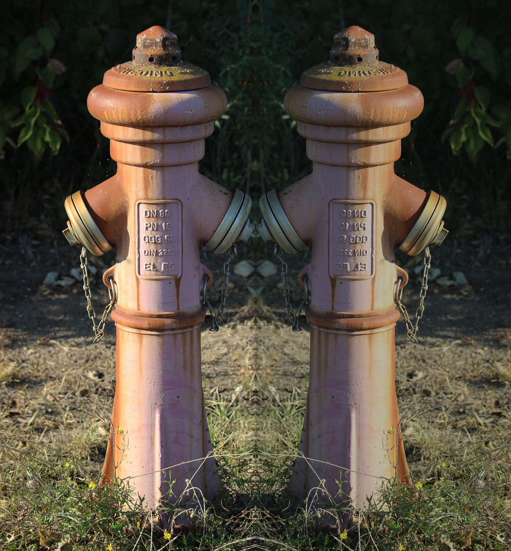 Hydrant-Gespiegelt