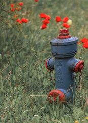 Hydrant im Glück