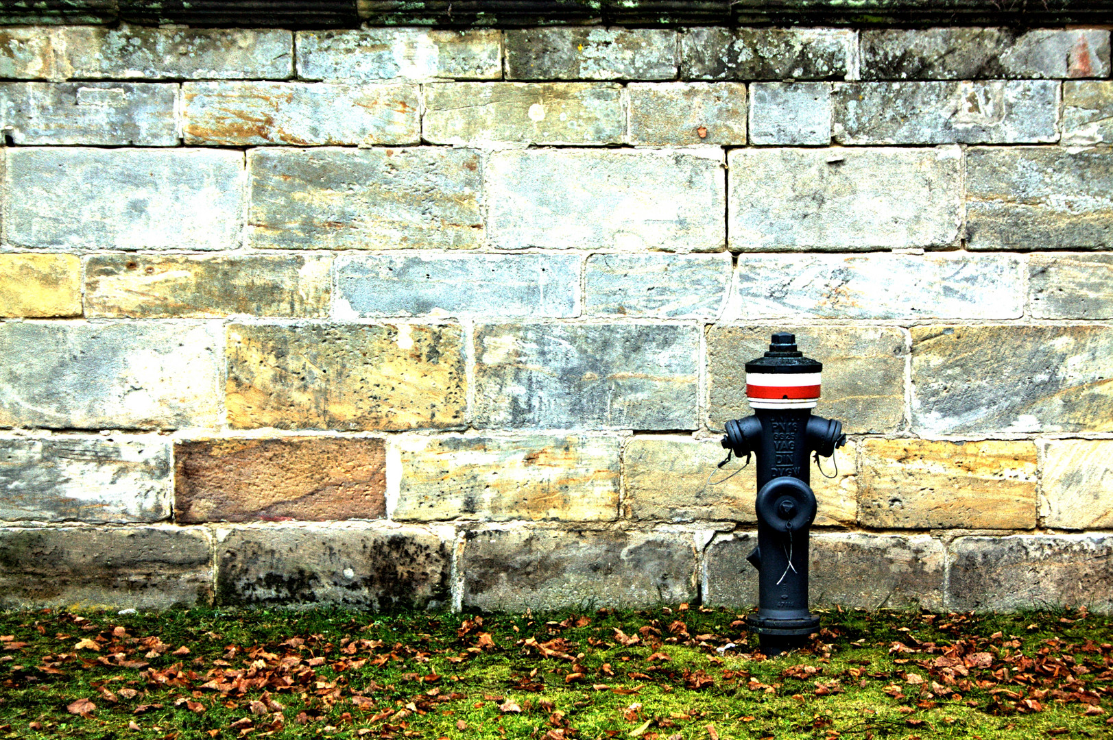 Hydrant im Hofgarten Bth