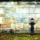 Hydrant im Hofgarten Bth