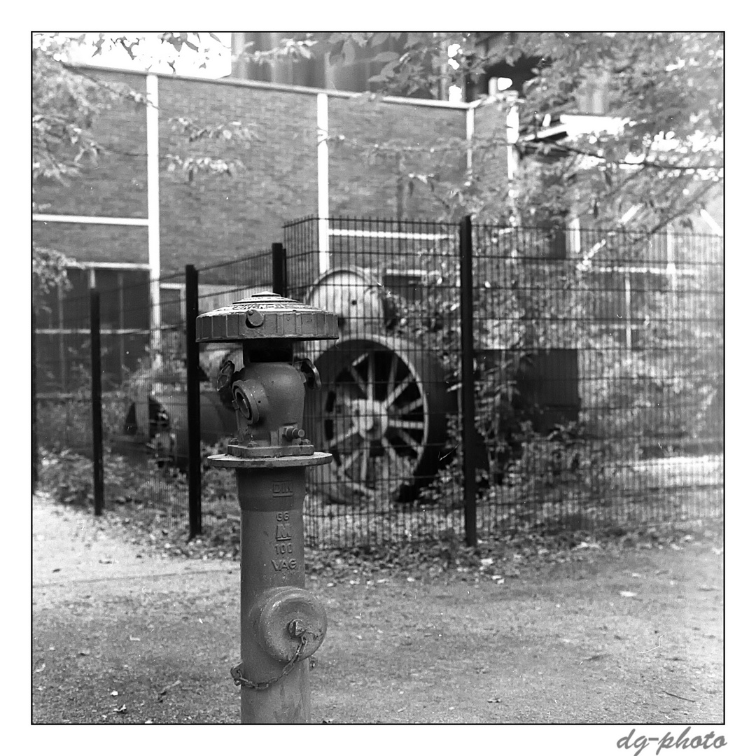 Hydrant im Landschaftspark