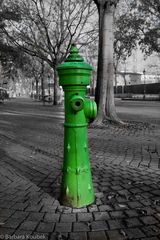 Hydrant im Prater Wien