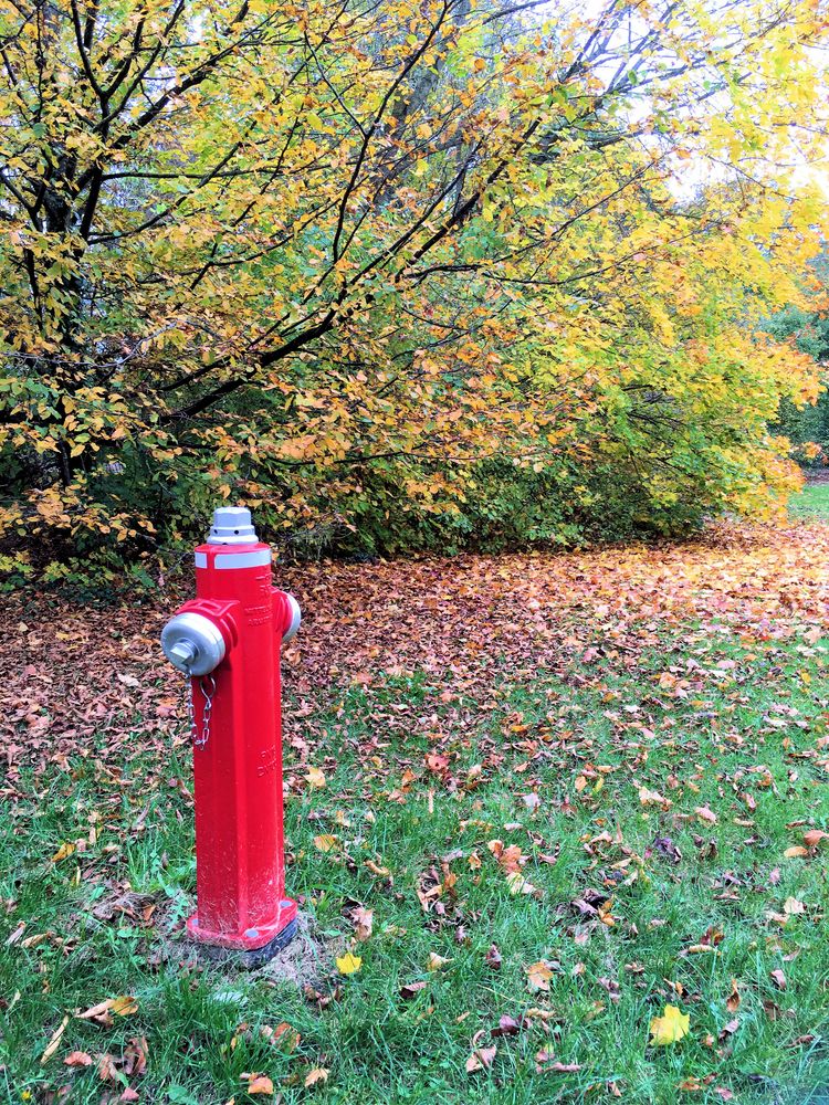 Hydrant in der Natur