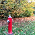 Hydrant in der Natur