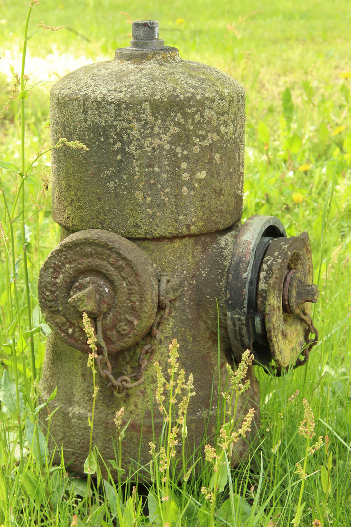 Hydrant in Hoyerswerda