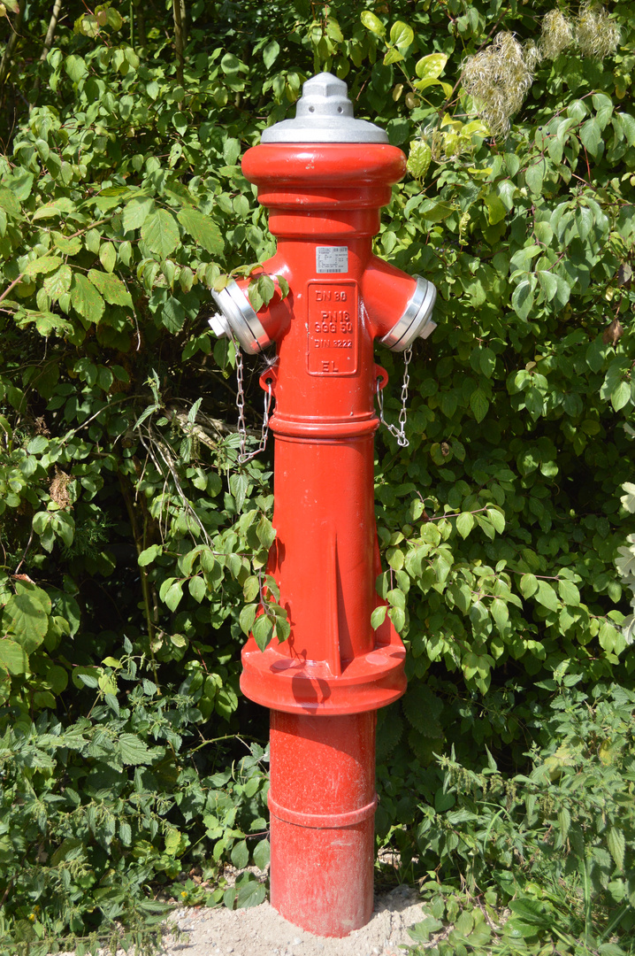 Hydrant in rot