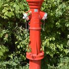 Hydrant in rot