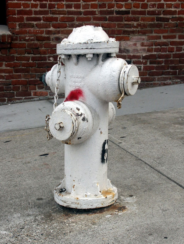 "Hydrant in San Francisco"