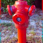 Hydrant in Tunesien