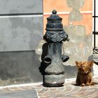Hydrant mit Hund