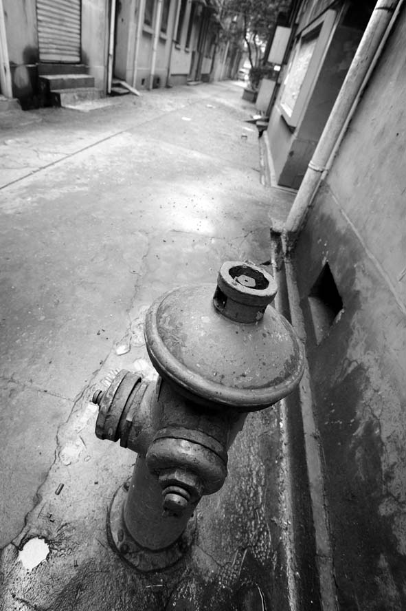 Hydrant perspective