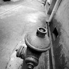 Hydrant perspective