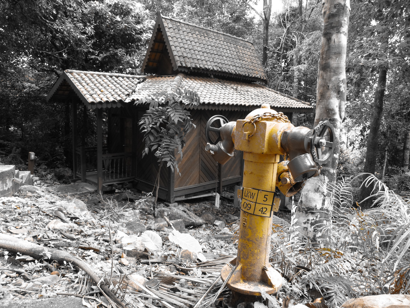 Hydrant und Regenwald und Chalet