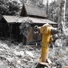 Hydrant und Regenwald und Chalet